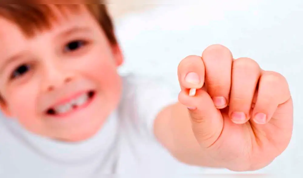 Células madre en los dientes de leche podrían curar el cáncer y prevenir infartos Células madre en los dientes de leche podrían curar el cáncer y prevenir infartos