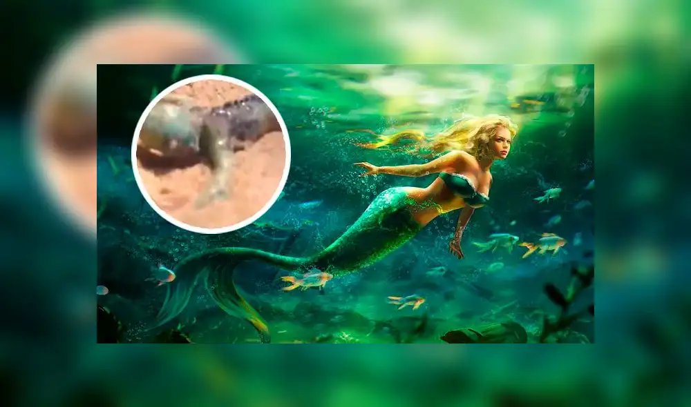 Facebook Viral: Afirman haber encontrado a bebe de sirena y miles de usuarios se aterran ante hecho Facebook Viral: Afirman haber encontrado a bebe de sirena y miles de usuarios se aterran ante hecho