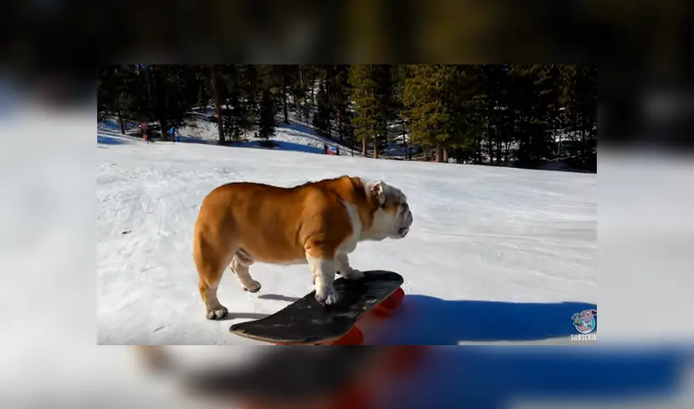 Desliza para ver los detalles del video viral de YouTube. Foto: Captura.