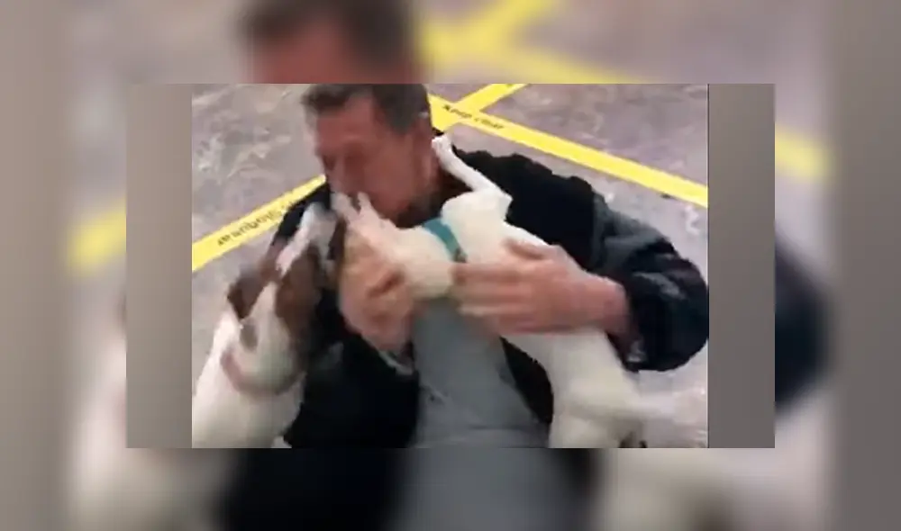 Desliza a la izquierda para ver más fotos sobre el conmovedor reencuentro. (Foto: captura) Desliza a la izquierda para ver más fotos sobre el conmovedor reencuentro. (Foto: captura)