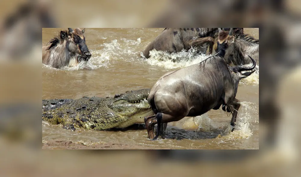 Desliza hacia la izquierda para ver las imágenes del viral de Facebook. Foto: Imagen ilustrativa Desliza hacia la izquierda para ver las imágenes del viral de Facebook. Foto: Imagen ilustrativa