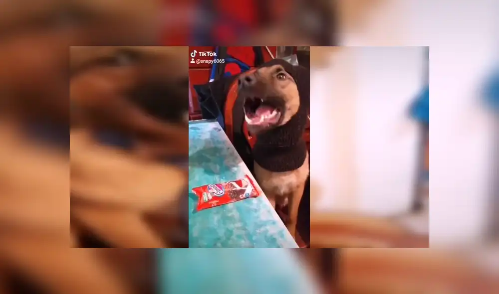 Desliza para ver los detalles de este gracioso video que es un éxito en YouTube. Foto: Captura. Desliza para ver los detalles de este gracioso video que es un éxito en YouTube. Foto: Captura.