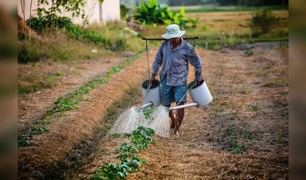 Agricultura Agricultura
