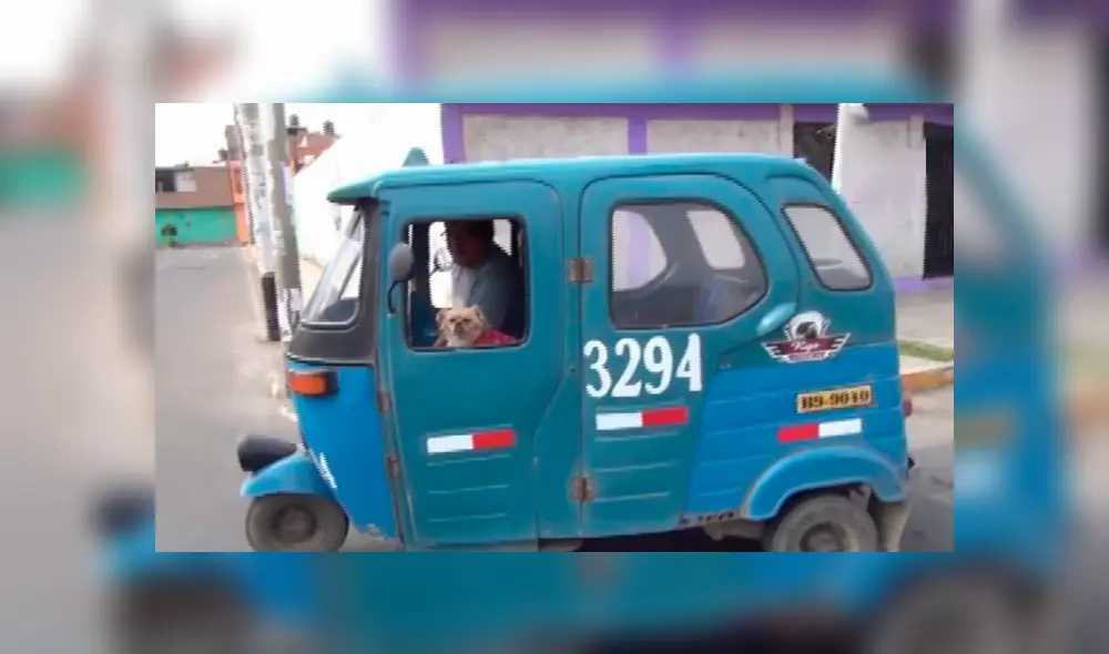 En Facebook, un peruano recorre las calles de Huacho al lado de su inseparable mascota de nombre ‘Pepa’.