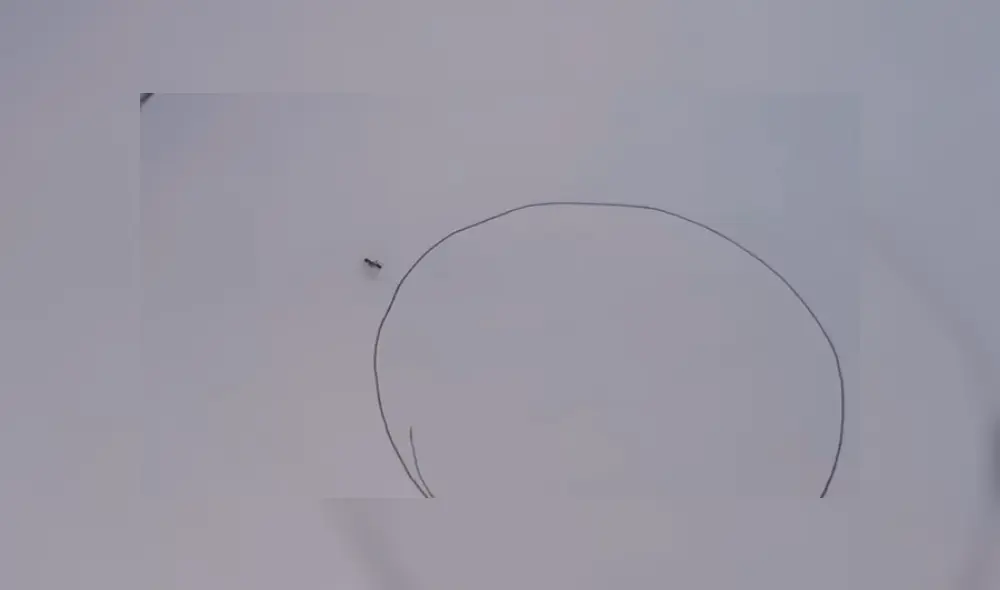 Desliza para ver los detalles del video viral publicado en YouTube. Foto: Captura.