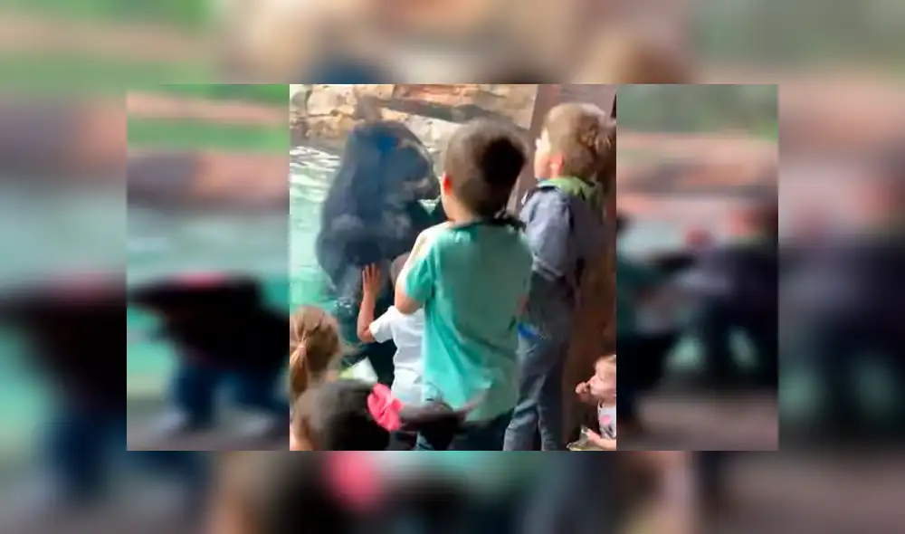 Facebook viral: niños juegan frente de enorme oso, sin imaginar que depredador haría lo impensado [VIDEO] 