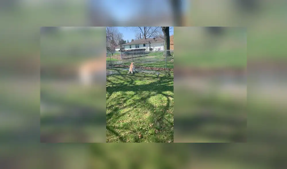 Desliza para ver los detalles del video viral publicado en YouTube. Foto: Captura. Desliza para ver los detalles del video viral publicado en YouTube. Foto: Captura.