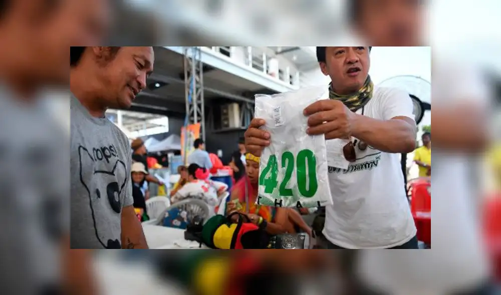 Tailandia celebra gran fiesta de marihuana tras legalización para uso médico [FOTOS]