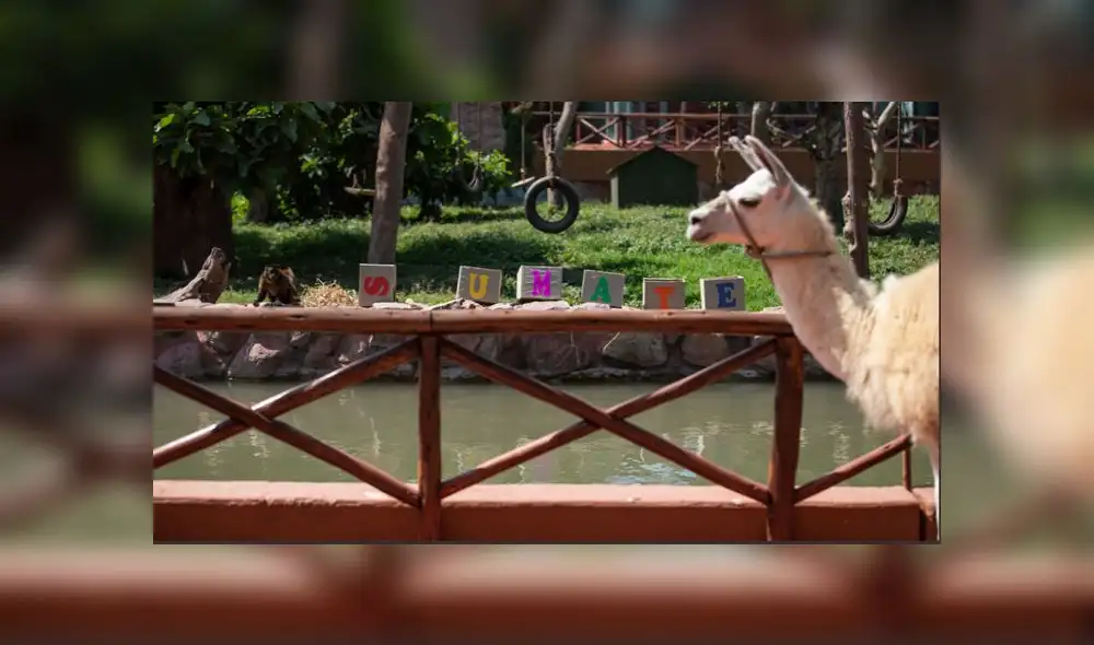 (Foto: Municipalidad de Lima)