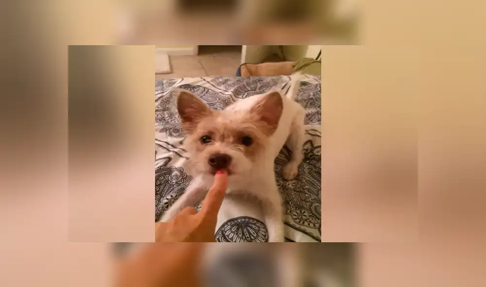 Desliza para ver los momentos más divertidos del video que se hizo viral en Facebook.