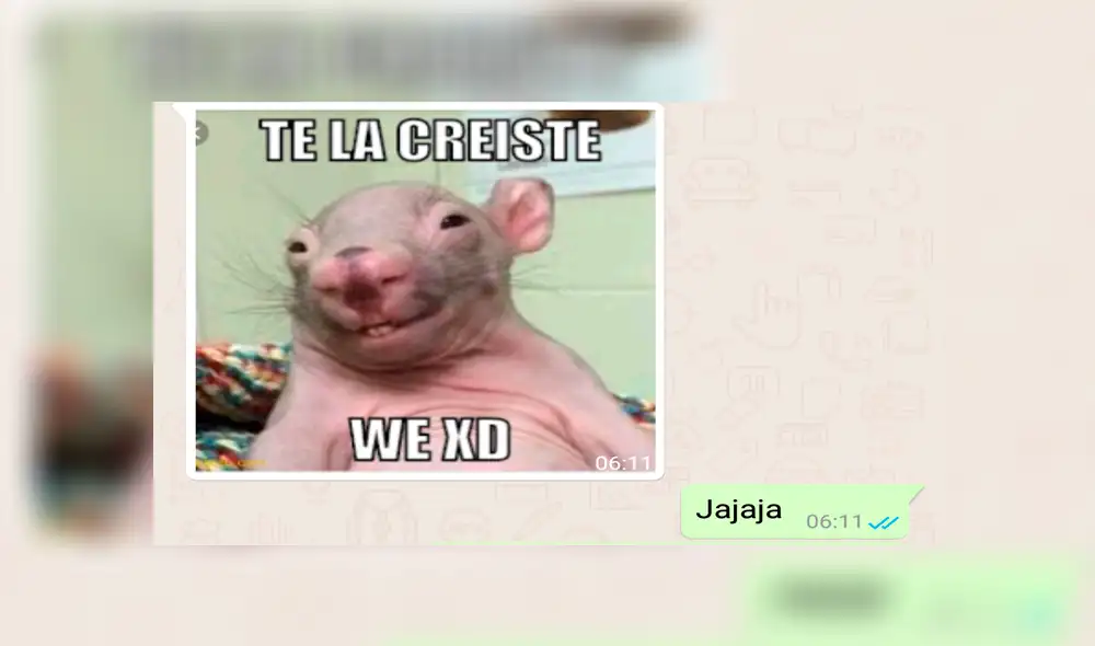 WhatsApp: La sorprendente reacción de un padre ante el "Cállese viejo lesbiano" de su hijo [FOTOS]
