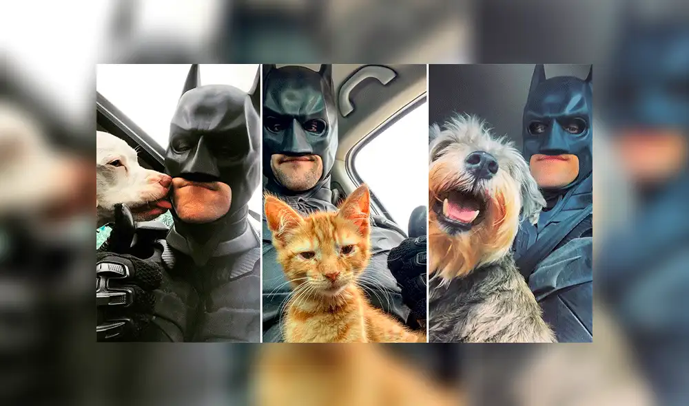 En YouTube, video es viral. Joven se disfraza de su superhéroe favorito para salvar animales próximos a morir y ahora su historia causa furor en redes sociales. En YouTube, video es viral. Joven se disfraza de su superhéroe favorito para salvar animales próximos a morir y ahora su historia causa furor en redes sociales.