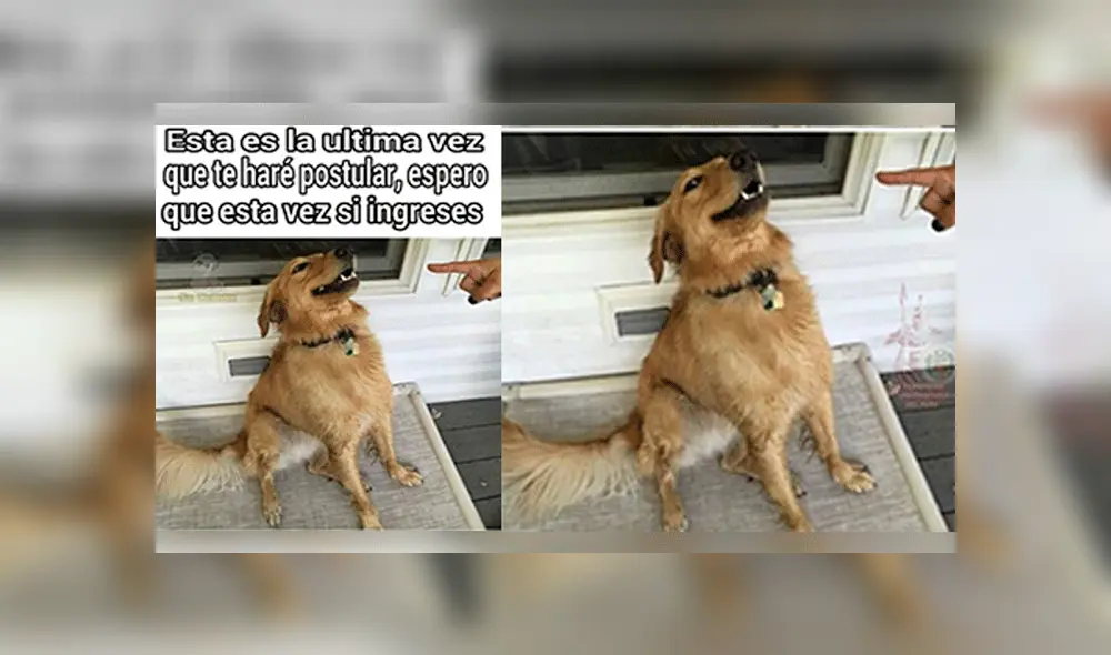 Facebook viral: resultados del examen de admisión 2019 de la UNMSM provoca ola de memes en las redes