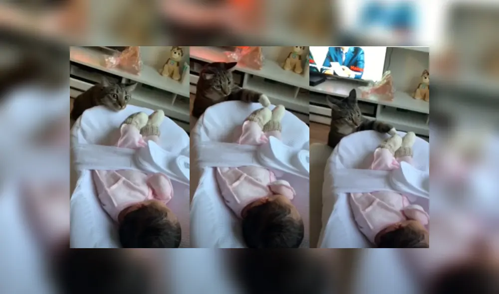 Desliza las imágenes para ver la adorable escena entre la bebé y el gato de su mamá. Desliza las imágenes para ver la adorable escena entre la bebé y el gato de su mamá.