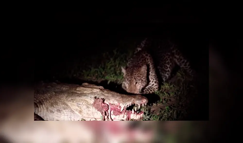 Desliza para ver los detalles del video viral publicado en YouTube. Foto: Captura. Desliza para ver los detalles del video viral publicado en YouTube. Foto: Captura.