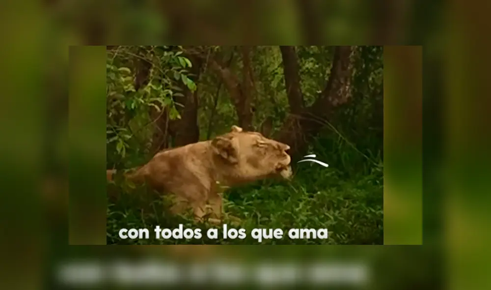 Desliza hacia la izquierda para ver las imágenes del video viral de YouTube.