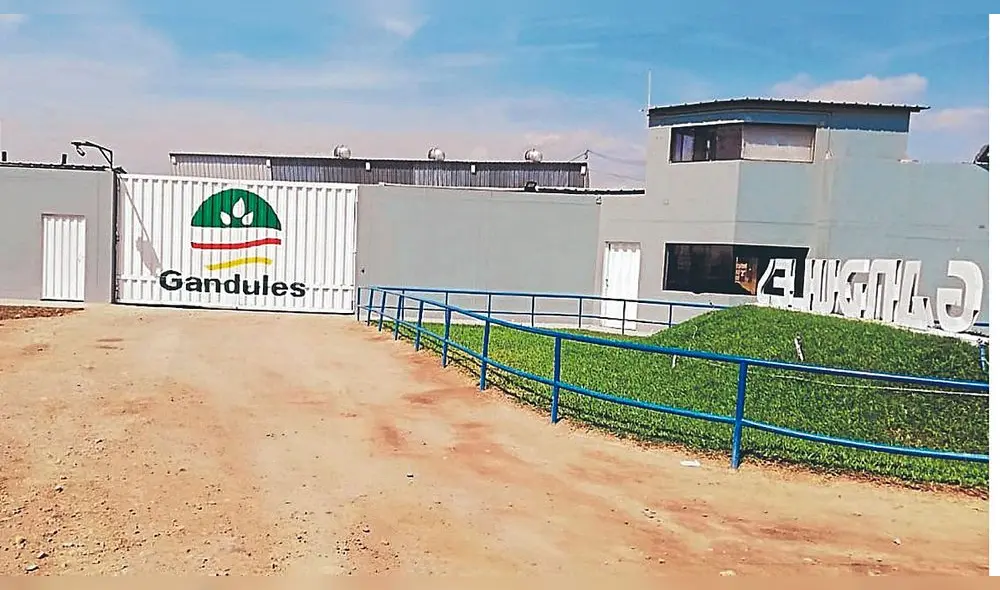 Agroindustrial Gandules de Jayanca