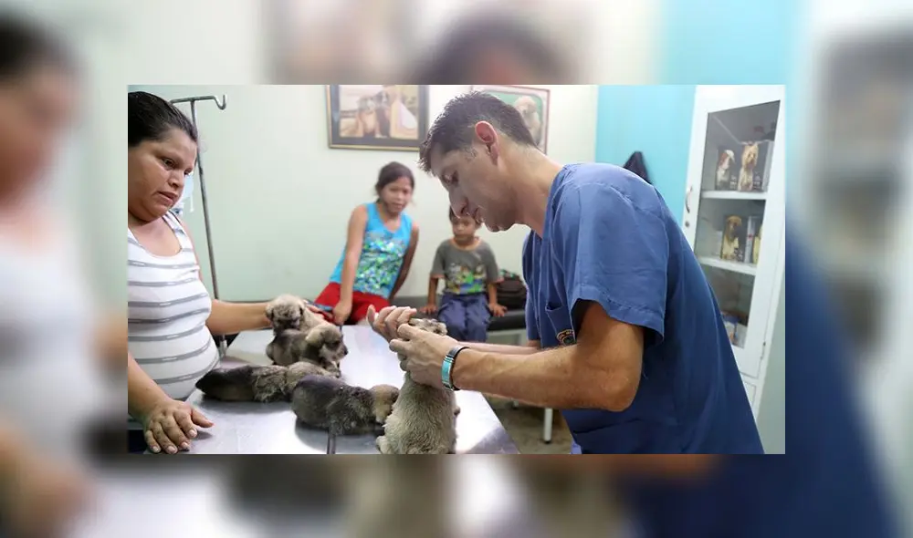 Brindan atención gratuita a mascotas de lunes a viernes [FOTOS]