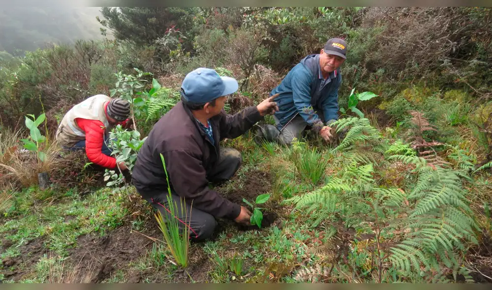 Se realiza actividad para reforestar área de conservación.