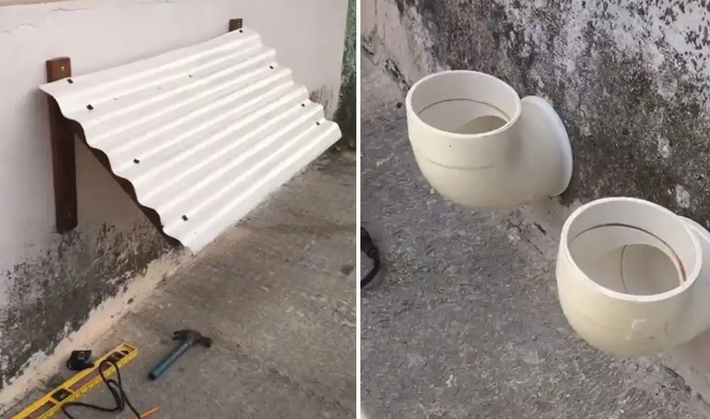 Desliza a la izquierda para ver más imágenes sobre este noble gesto hacia los animales de la calle. Foto: captura de TikTok