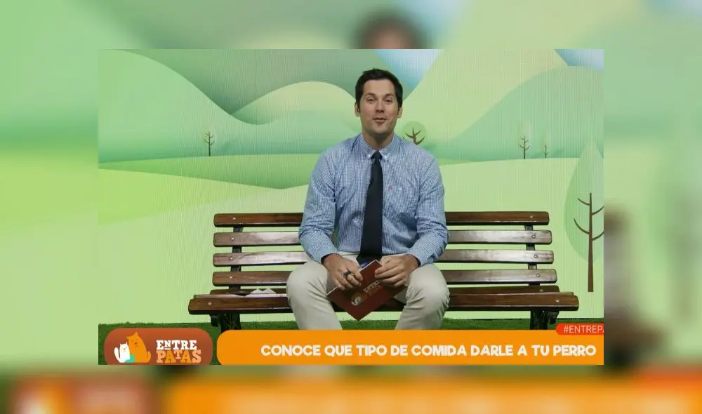 Entre Patas: Tipos de comida para perros y cuál es el ideal para tu mascota