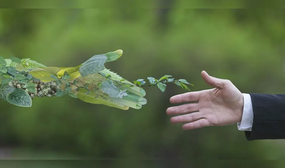 Las investigaciones en el campo ambiental son muy importantes. Un aporte académico al cuidado del planeta Las investigaciones en el campo ambiental son muy importantes. Un aporte académico al cuidado del planeta