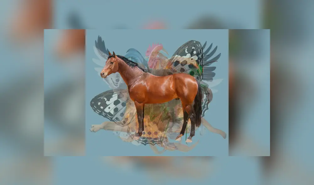 Desliza la imagen de Facebook para verlas todas. Desliza la imagen de Facebook para verlas todas.