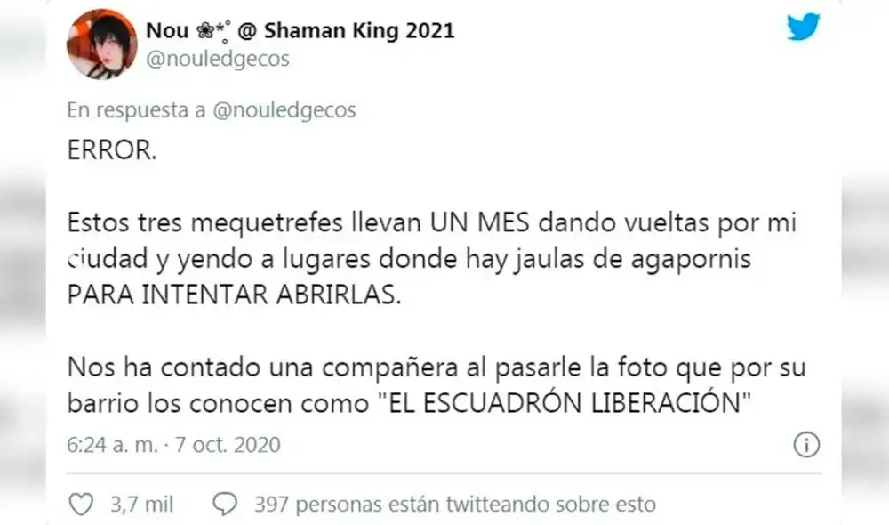 Desliza las imágenes para conocer la historia de unos tres loros bautizados como el "escuadrón de liberación”. Foto: Twitter Desliza las imágenes para conocer la historia de unos tres loros bautizados como el "escuadrón de liberación”. Foto: Twitter