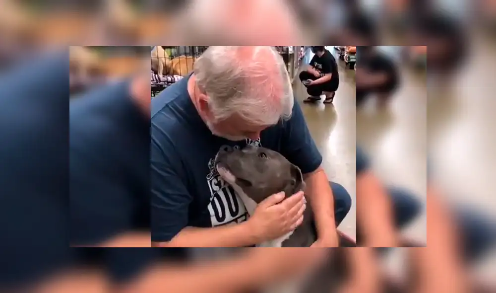 En Facebook, un señor acudió a un albergue de animales para adoptar a un perro y no imaginó la reacción que tendría.