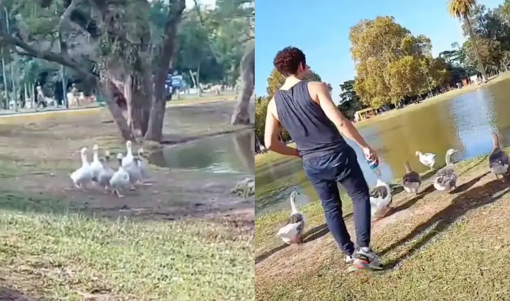 Este video cuenta con más de 380.000 'me gusta'. Foto: composición LR / TikTok / @franncolella Este video cuenta con más de 380.000 'me gusta'. Foto: composición LR / TikTok / @franncolella