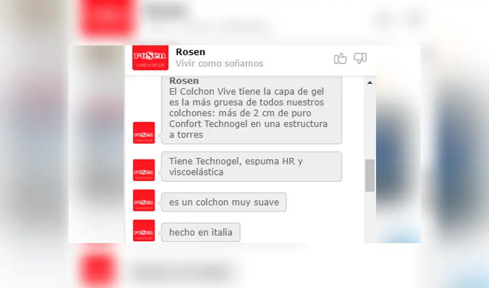 Empresa peruana que vende colchón a 23 mil soles.