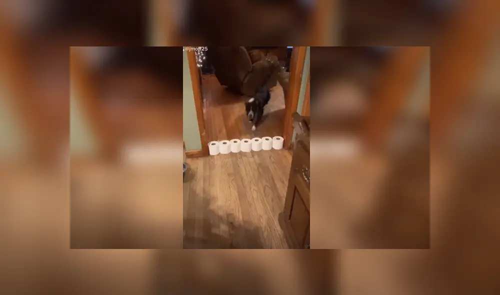 Desliza para ver los detalles del video viral publicado en YouTube. Foto: Captura. Desliza para ver los detalles del video viral publicado en YouTube. Foto: Captura.