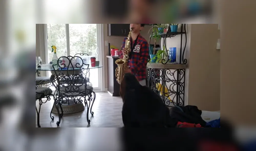 Desliza para ver los detalles del video viral publicado en YouTube. Foto: Captura. Desliza para ver los detalles del video viral publicado en YouTube. Foto: Captura.