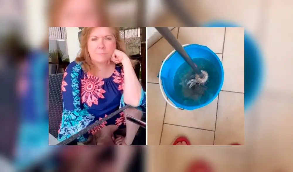 Desliza la imagen de TikTok para verlas todas.