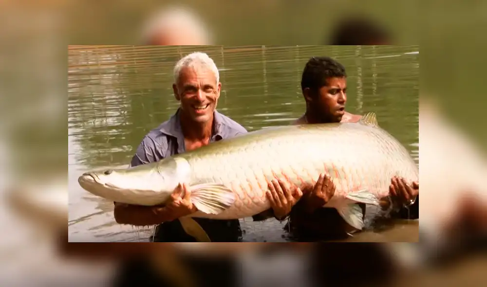 YouTube viral: monstruosa criatura atrapada en río aterra a pescadores [VIDEO]
