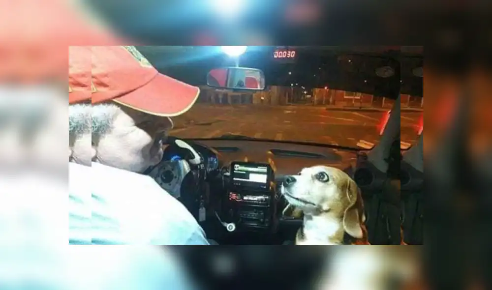 Desliza las imágenes para ver más detalles sobre esta escena que es viral en Facebook.