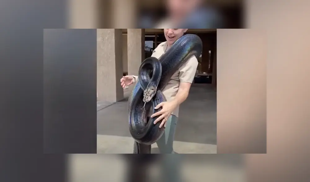 Desliza hacia la izquierda para ver las imágenes del viral de Facebook. Foto: Captura. Desliza hacia la izquierda para ver las imágenes del viral de Facebook. Foto: Captura.