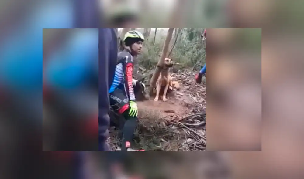 YouTube viral: ciclista detiene su recorrido para rescatar a perro atado a un árbol [VIDEO]