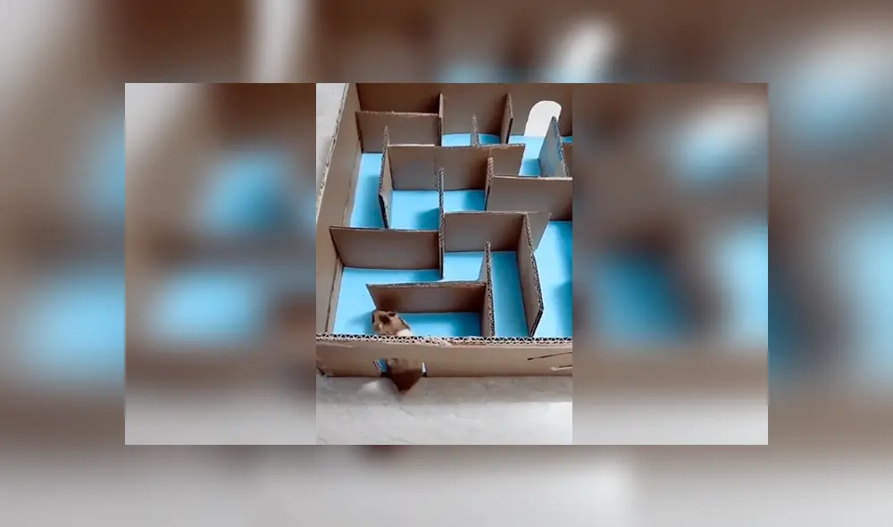 Desliza para ver el desenlace de este video viral de YouTube. Foto: Captura. Desliza para ver el desenlace de este video viral de YouTube. Foto: Captura.