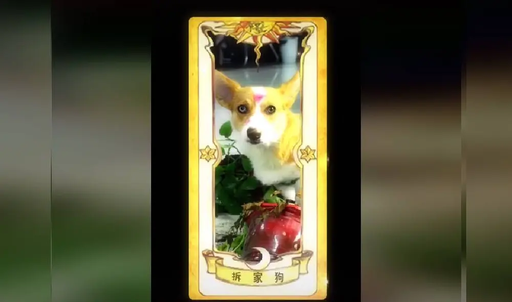 Desliza para ver las imágenes del viral de Facebook. Foto: Captura/TikTok