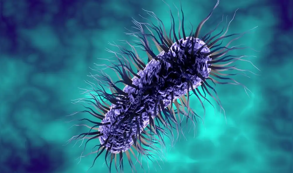 El ataque de las superbacterias