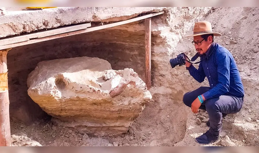 Especialistas hallaron 24 animales prehistóricos en Cusco.