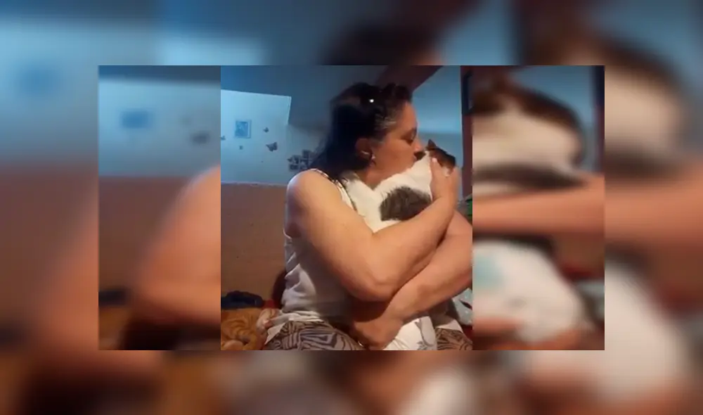 Facebook: señora encuentra a gato callejero, lo cuida y este se lo agradece con tierno beso [VIDEO] 