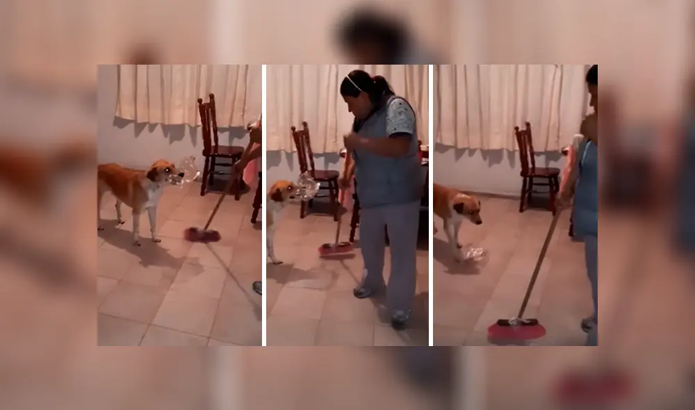 Desliza las imágenes para apreciar las divertidas actuaciones que hizo una mujer acompañada de su perro. Desliza las imágenes para apreciar las divertidas actuaciones que hizo una mujer acompañada de su perro.