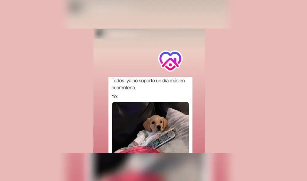 Los usuarios ya pueden agregar esta etiqueta en sus historias de Instagram.