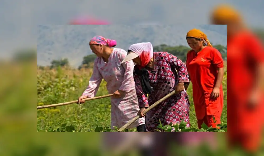 Mujeres rurales Mujeres rurales