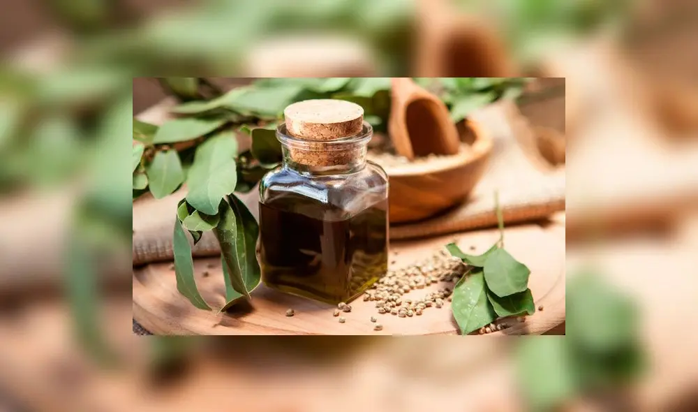 Otorgan amparo para uso de marihuana medicinal a menor de edad