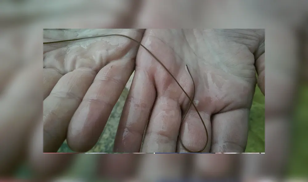 Desliza para ver los detalles del video viral publicado en YouTube. Foto: Captura. Desliza para ver los detalles del video viral publicado en YouTube. Foto: Captura.