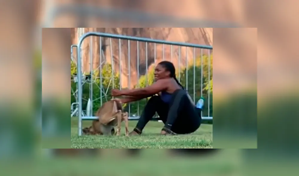 Deportista se ha ganado la admiración de todos por lo que hizo luego de ver que el animal estaba en problemas. Video es viral en YouTube