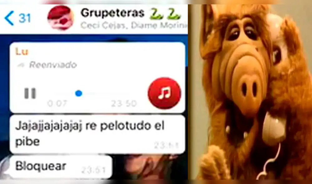 WhatsApp Viral: Chica rompe con joven a quien conoció por Tinder luego de escuchar su imitación de ALF [VIDEO]
